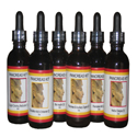 Children's Pancreas Cleanse & Regimen (liquid extracts) Children's Pancreas Cleanse & Regimen (liquid extracts)