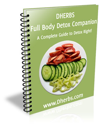Alternative Lifestyle on Ebooks Alternative Diet Lifestyle Manual Ebook Body Detox Ebook