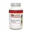 Adrenal Glands Complex Adrenal Glands Complex