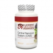 Central Nervous System Central Nervous System