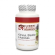 Kidneys, Bladder and Adrenals Kidneys, Bladder and Adrenals