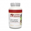 Liver, Spleen and Gallbladder Liver, Spleen and Gallbladder