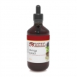 Moringa Extract Moringa Extract