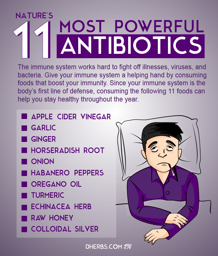 infographic-nature-s-11-most-powerful-antibiotics-dherbs-the-best