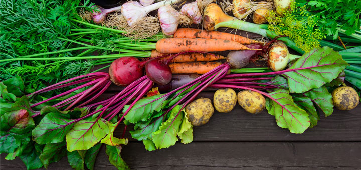 The Top Healthiest Root Vegetables Dherbs Com Articles